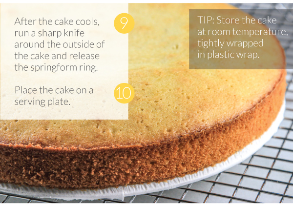 Meyer Lemon Olive Oil Cake