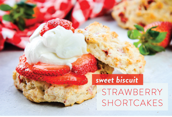 Sweet Biscuit Strawberry Shortcake