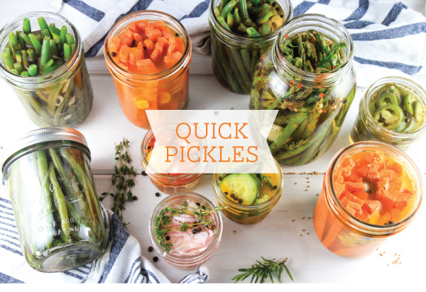 Quick Pickles