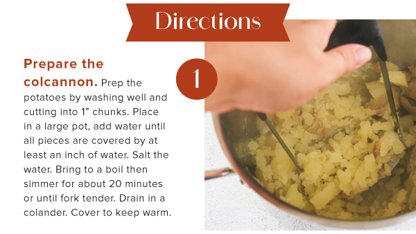 Colcannon Shepherd's Pie