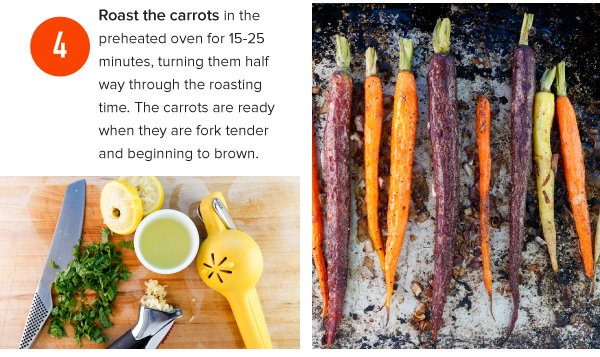 Roasted Carrots with Lemon-Mint Yogurt Sauce