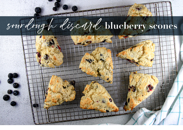 Sourdough Discard Blueberry Scones