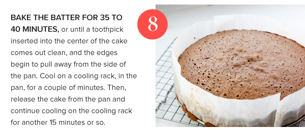 Chocolate Olive Oil Cake