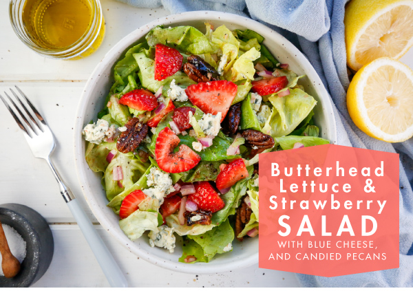 Butterhead Lettuce and Strawberry Salad with Blue Cheese and Candied Pecans