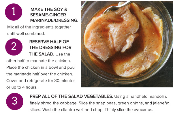 Grilled Chicken and Veggie Salad with a Soy Sesame-Ginger Dressing