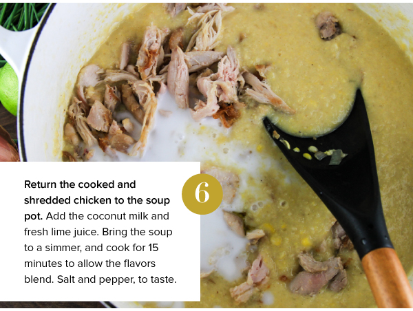 Chicken, Corn and Coconut Soup