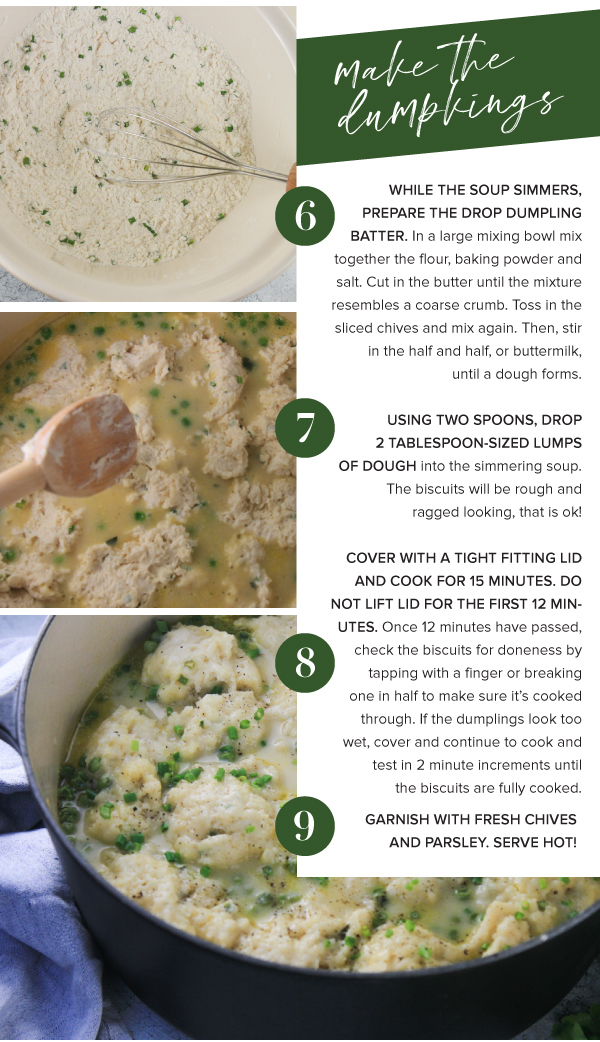 Chicken and Dumplings